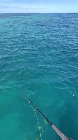 what a striaght #fishing  #fishingtrip