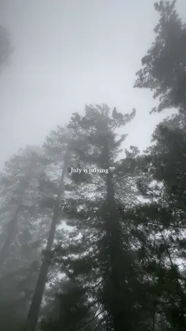 July is julying 🩶 #weather #july #foryou #kpk #ayubia #villagelife #foruoupage #therapy #fog #aesthatic #mureehills #rain #mureeweather 
