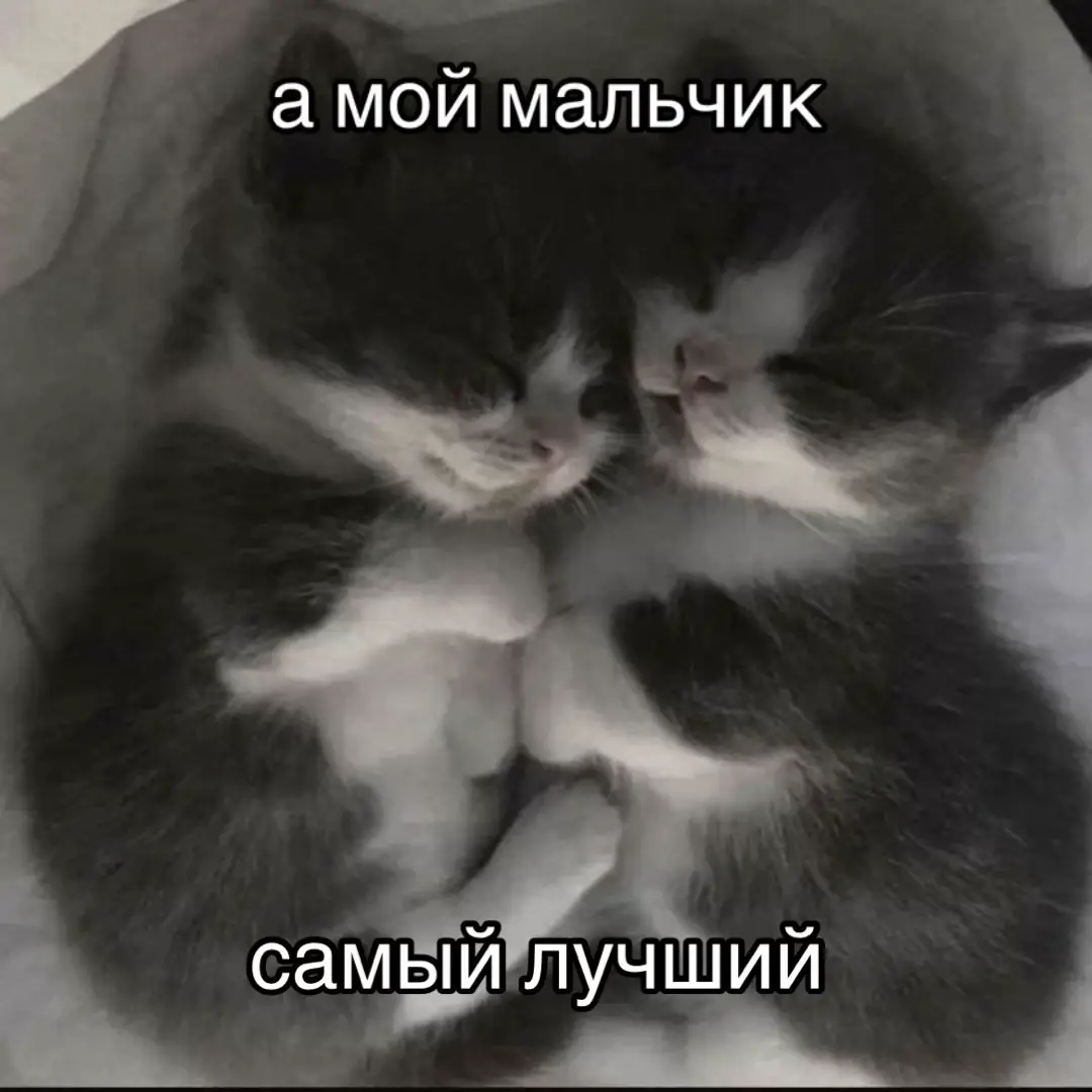 #recommendation #люблюего 