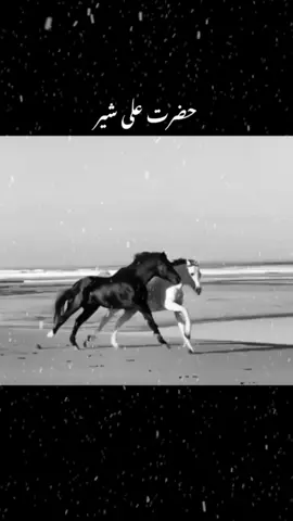 Hazrat Ali #viralproducts #1mviews #tremding #vural #foruyou #foryoupage 
