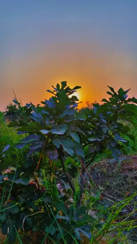 شگد وشگد وشگد💔🥹    #اقتباسات #عبارات #تصويري_احترافي_الاجواء👌🏻🕊😴 #لايك__explore___ #ريف 