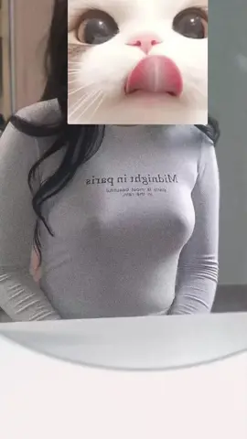 #추천추천추천추천추천추천추천추천추천추천 #고양이 #파송무 