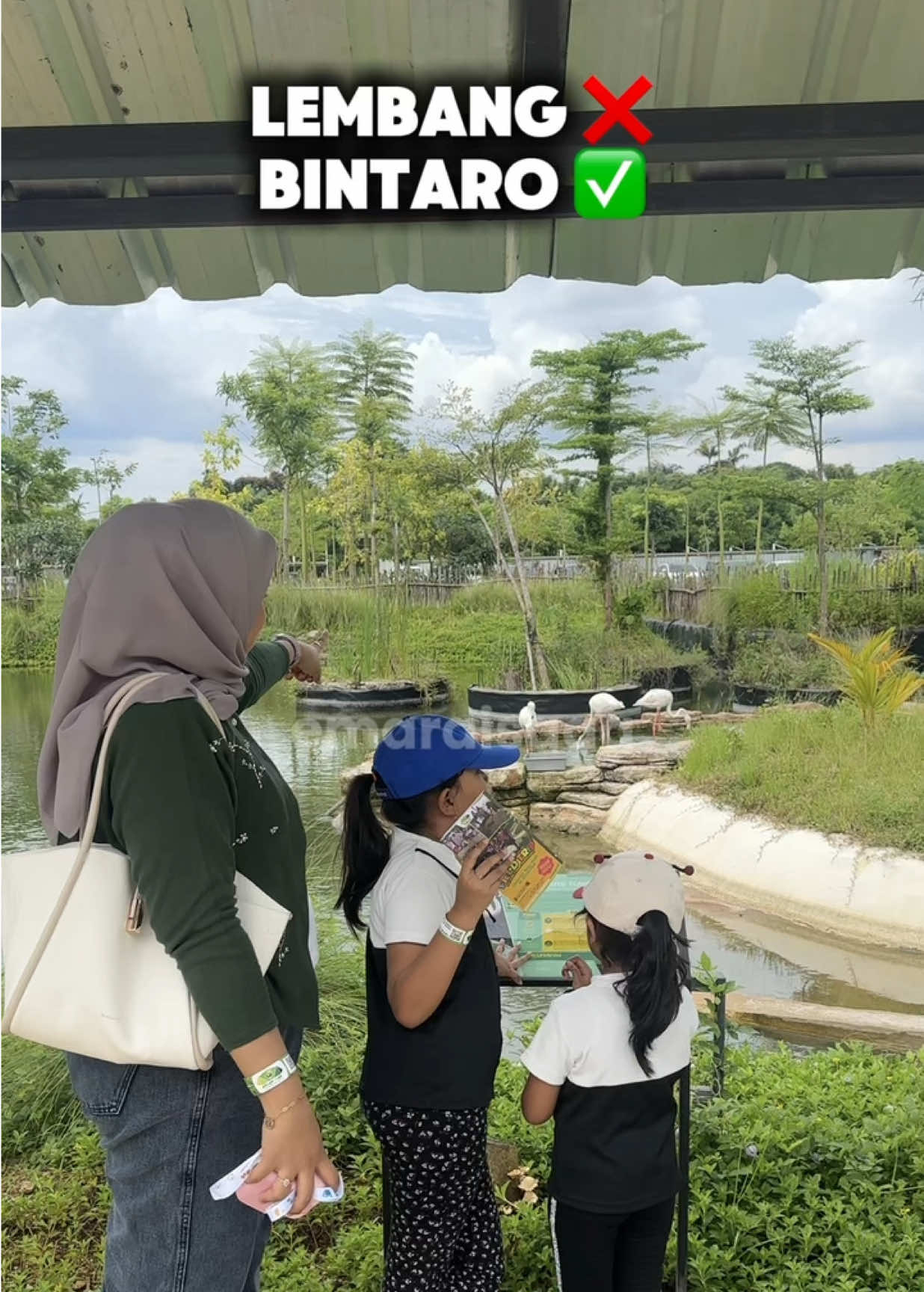 Siapa yang belum pernah ke Aviary Park Bintaro? Yuk Agendain ! Beli tiketnya mending di tag lokasi yaaa dijamin lebih muraaah 👏🏻 #aviarybirds #aviaryparkbintaro #aviaryindonesia #wisataanak 