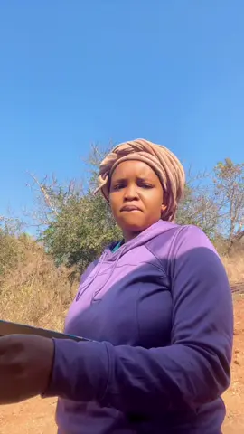 #mamcinekaoyimele 