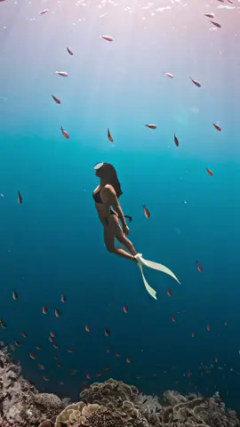 just out here living and serving depth 🐚 🎥: @Shem Cuaco 🎨: @tomathoecatsup  #freediving #girlswhofreedive #bohol 