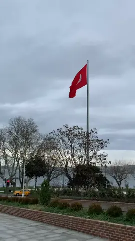 the flag 🇹🇷 I love after the flag 🇵🇰 #fypシ゚viral #unfrezzmyaccount 