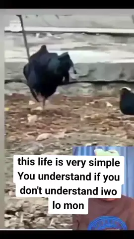 😂😂😂😂😂😂😂