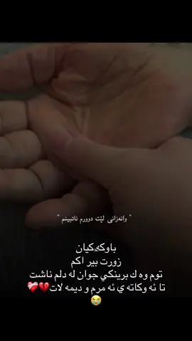 #CapCut 