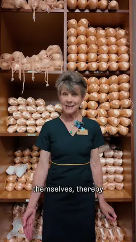 What’s the pointe of a pointe shoe? 🩰👀 In this first episode of our brand new series What’s the Pointe, Freyja walks us through the fascinating history behind ballet’s famous footwear. Discover how generations of dancers adapted their shoes to develop their technique, dance with greater artistry, and seemingly defy gravity. And yes, this series is all about… Pointe shoes! 🩰✨ #TheRoyalBallet #PointeShoes #Ballet #RoyalBalletAndOpera