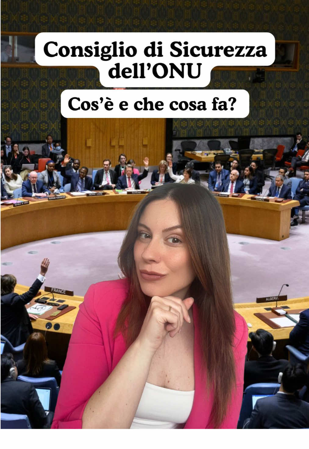 Consiglio di Sicurezza dell’ #ONU 🇺🇳 #imparacontiktok #Geopolitica 