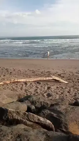 pantai pererenan bali