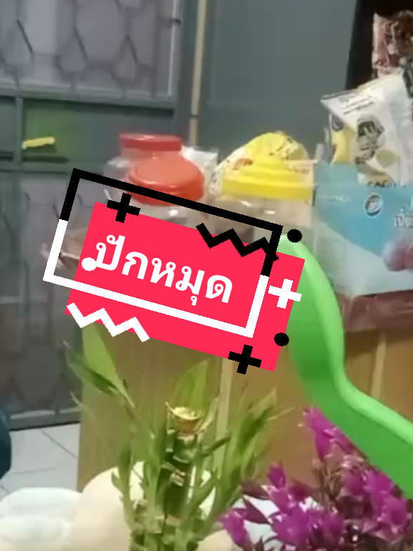 เครื่องคั้นน้ำผลไม้ใช้งานดีมากราคาประหยัดกระเป๋าคุณแม่บ้านต้องมี#ลำใยขายถูก #ของดีบอกต่อ #คุ้มสุดสุดๆ #ส่งฟรี #ป้ายาtiktok #รับรีวิวสินค้าทุกเรท #ลำใยขายถูก 