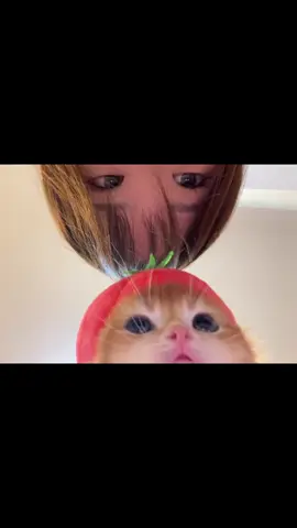 #Cat#cute#tik#foryou#fyp#tiktok 