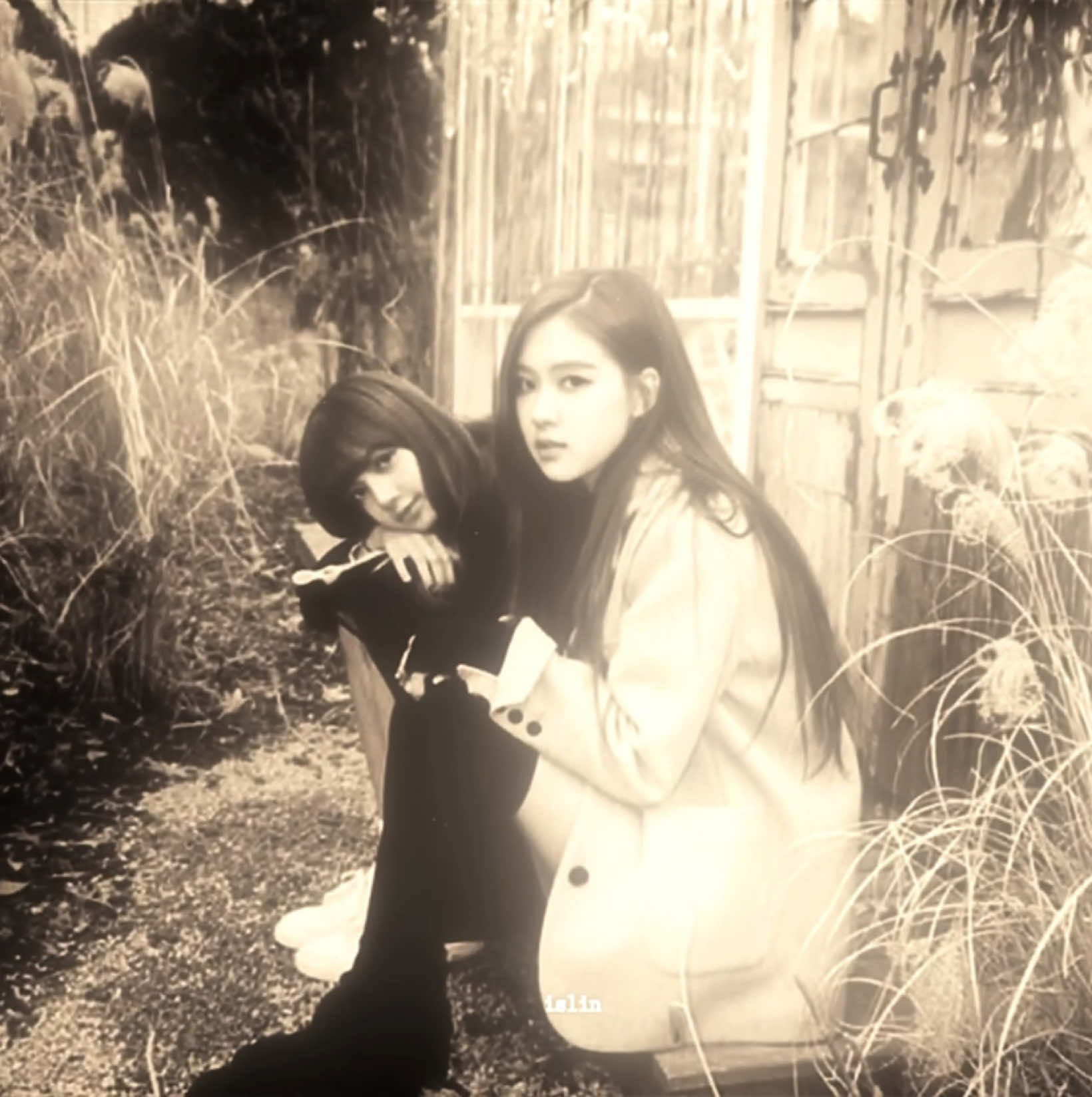: yêu mỗi mình em || reup #rosé #lisa #fyp #edit #viral #blackpink #chaelisa #linvjn_ 
