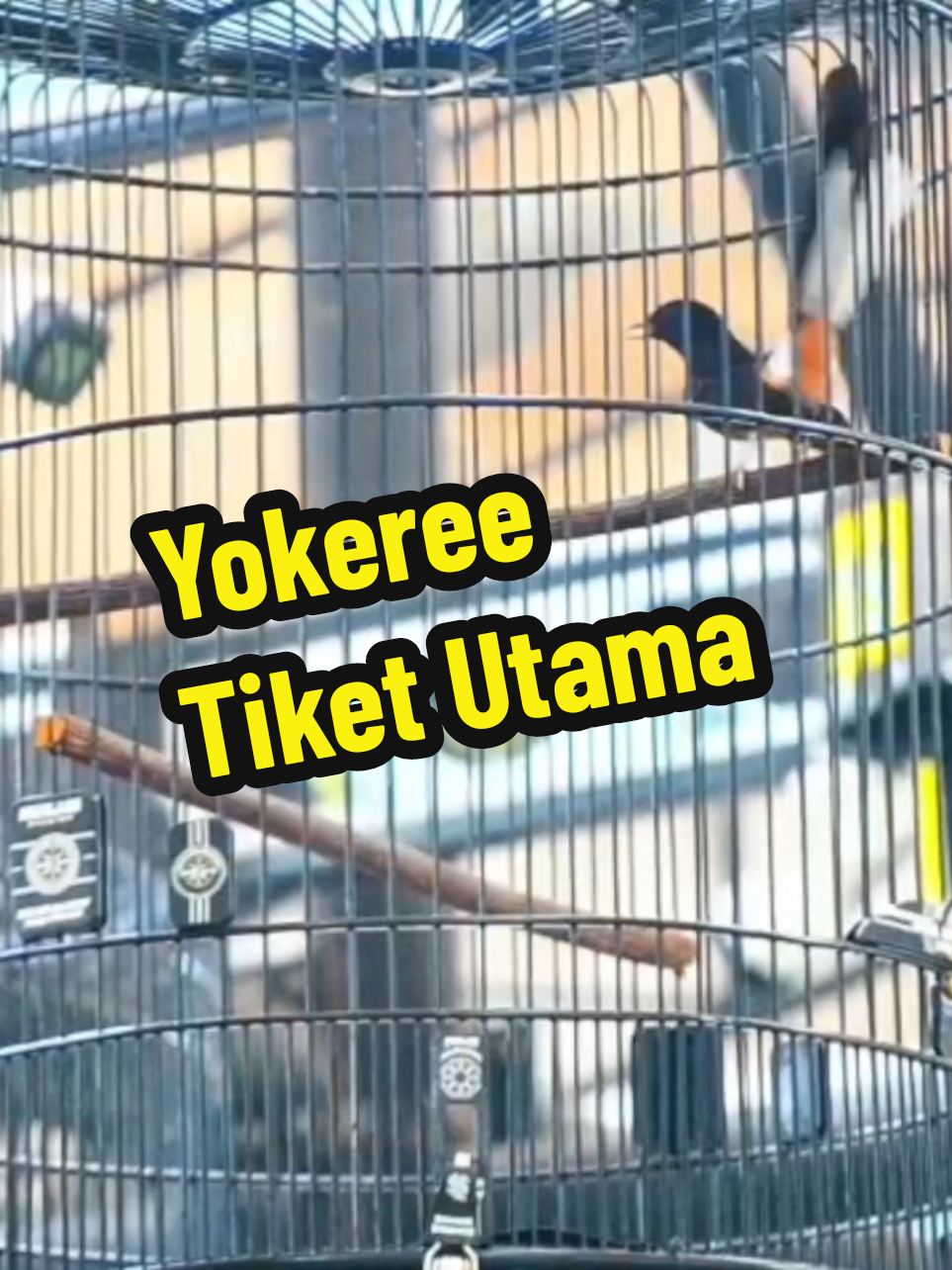 Tidak perlu kata-kata Cukup Fakta Lapangan Yokeree 🔥 #fyp #viralvideo  #kicaumania #muraibatu #sorotan 