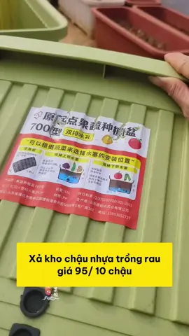 Chậu nhựa trồng rau cao cấp tiện lợi quá #dotienich #dogiadung #xuhuong #xuhuongtiktok 