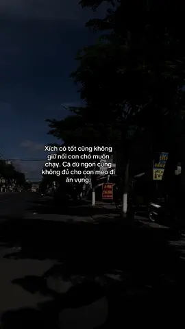 #Xích #có #tốt #cũng #không #giữ nổi #con #chó #muốn #chạy. #Cá #dù #ngon #cũng không đủ #cho #con #mèo #đi #ăn vụng