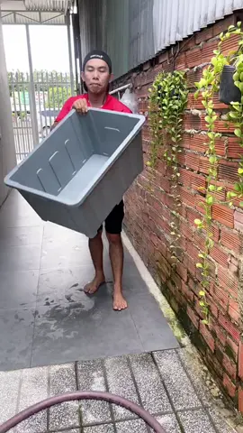 chậu trồng cây #chaunhuatrongcay #chaunhua #chau #chardonnay #lamvuon 