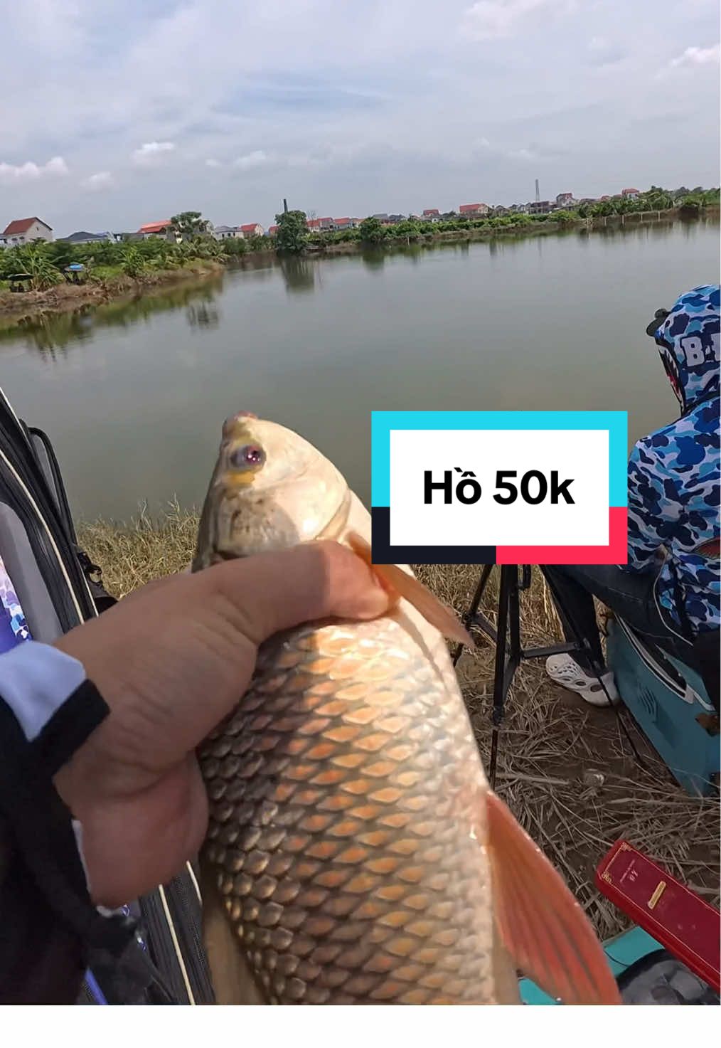 Câu cá hồ bán tự nhiên 50k có cá gì? #cauca #fishing #xh 