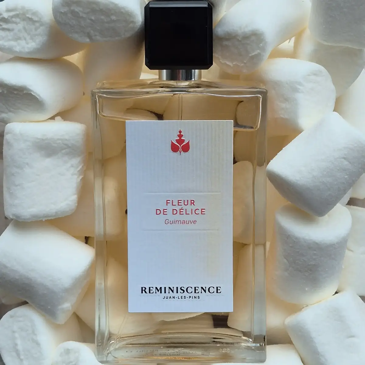 Début de test avec @sampleo_france et @reminiscence_official  , que je remercie pour cette belle opportunité ! Je découvre le parfum Fleur de Délice - Guimauve en 100ml. Première impression très positive, je vous en reparle bientôt ✨️ Notes : Notes de tête : Bergamote, Menthe, Romarin Notes de cœur : Néroli, Petit Grain, Jasmin Notes de fond : Vanille, Fève Tonka, Muscs blancs #collaborationcommercialenonremunérée  #produitoffert  #reminiscenceparfums  #parfumsdeniche  #sampleofrance 