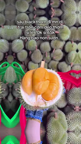 sầu blackthorn sỉ lẻ toàn quốc ai có như cầu thì lb #sầuriêng #musangking #sầu #sầu_musang_kinh #sầuriêngri6 #sầuthái #saumusangking #blackthorn @Lee Duong @ngocloc84 @Sầu Riêng Miền Tây 