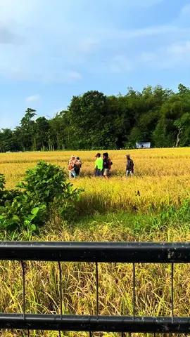 Fyp sak indonesia raya nak iki#