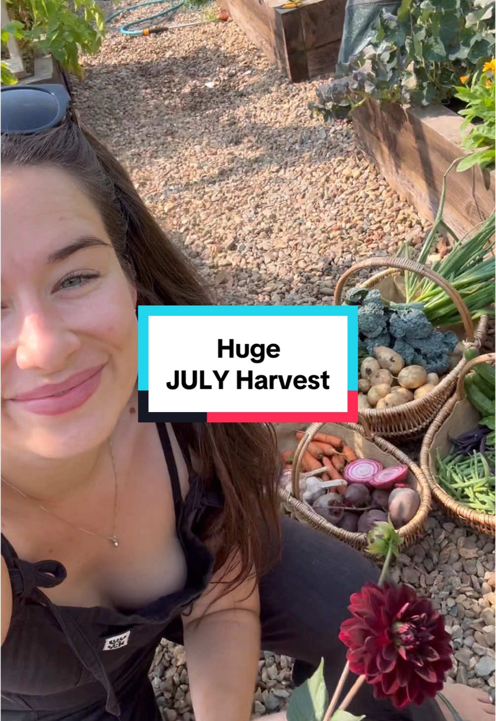 Mid July harvest 💚  #vegetablegarden #kitchengarden 