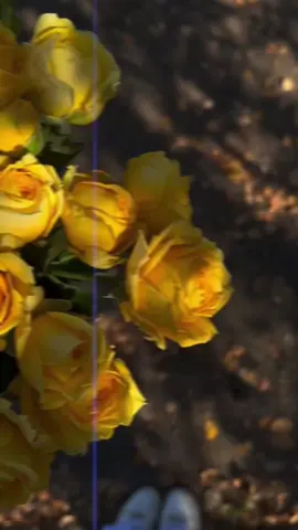 لا تـزعلين من الدنيـآ وأنتِ أجمل مافيهآ ..  ‏وإن زعلتك مرة أنـــآ لأجلك أبكيّهآ .. إبتسمي الله يرضالي على وجهك .. حرام أشوف الزعل بعيونك الحـلوه ..🥹❤️ #حبيبة_قلبي #لاتزعلين #لاتزعلين_تضيق_فيني_الوسيعة #اضحكي_يانور_عيني_وسعدي❤️❤️ #قلبي #احبك #جبراتت📮 #توام_روحي #تصميم_فيديوهات🎶🎤🎬 #تصميم #لاتزعل_عيونك_ياعيوني_ولا_تبكين #شعر #قصايد #بوح_القصيد #fyp #fypシ #foryou 