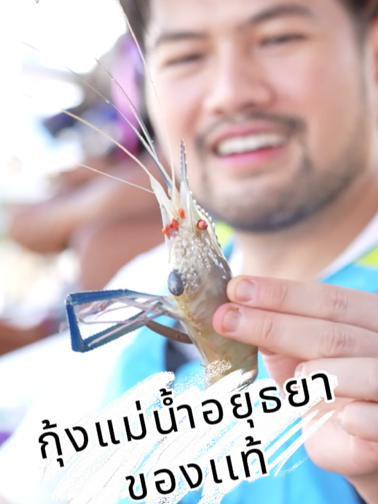 ไปตกกุ้งเองนักเลงพอกับ ไต๋ถะรับหน้าที่พาไปตามหากุ้งเเม่น้ำเท้ๆ ตกเองจับเอง โดนหนีบเอง ฮ่าๆ งานนี้ต้องน้ำจิ้มซีฟู๊ดรอเเล้วนะจ๊ะ  #เที่ยวฟินกินฉ่ำ #มาวินทวีผล #เชฟบุชเบบี๋ #ของดีบอกต่อ #ร้านเด็ดบอกต่อ #อร่อยเฉย #ร้านเด็ด #อยุธยา #รีวิวอยุธยา #อร่อยบอกต่อ #พระนครศรีอยุธยา #ตกกุ้งแม่น้ำ #กุ้งแม่น้ำ #กุ้งเผามันเยิ้มๆ #มันกุ้ง #น้ําจิ้มซีฟู้ด #ไทยรัฐทีวี32