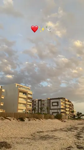 #Summer #تونس🇹🇳 #الجزائر🇩🇿 #ليبيا🇱🇾 #فرنسا🇨🇵_بلجيكا🇧🇪_المانيا🇩🇪_اسبانيا🇪🇸 #شعب_الصيني_ماله_حل😂😂 #fyp #fypシ゚ #foryoupage #viralvideos #foryou #fouryou #tunisia🇹🇳_algeria🇩🇿_libya🇱🇾 