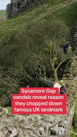 ⬆️CLICK FOR FULL STORY⬆️