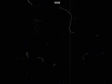 သံယောဇဉ်တွေမဖြစ်ချင်ဘူး . . . #foryoupage #lyrics #fyp #myanmartiktok🇲🇲 #alightmotionedit #1millionaudition #viewsproblem #fyp #viewbooster #likeaboss #likeaboss #foryoupage #lyrics 