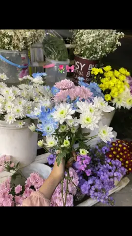 tidak semua perempuan suka bunga, tapi perempun mana yang tidak suka dikasih bunga 📍samping sosis an jenisari genteng #nayyaraflorist #nayyarafloristgentengbanyuwangi #floristbanyuwangi #floristgenteng #freshflowerbanyuwangi #freshflowergenteng #gentengbanyuwangi 