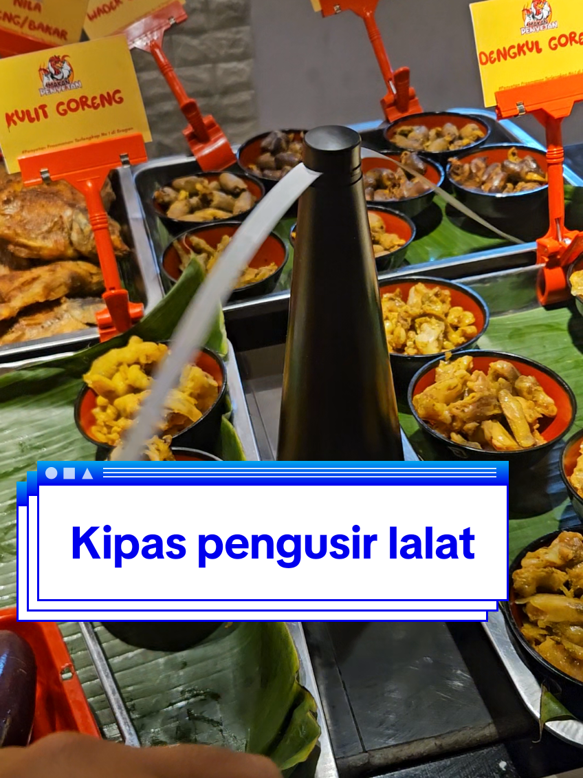Unik banget. Pengusir lalat berbentuk kipas, cocok nih buat pengusaha kuliner #pengusirlalat #antilalat #alatpengusirlalat #flyrepellent #wibgajian 