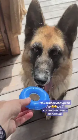 #tiktoklive #livehighlights 