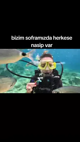 balık beslemece #fyp #keşfet #foryoupagе #scubadiving 