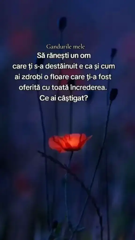 #gandurilemele 
