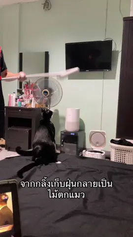 #ลูกกลิ้งเก็บฝุ่นเก็บเศษผม #ลูกกลิ้งเก็บขน 
