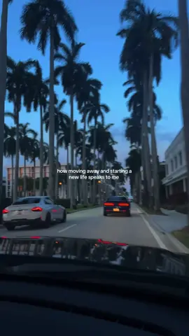 i love it here. #fyp #viral #life #westpalmbeach #florida 