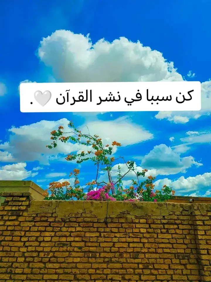 #القران_الكريم_راحه_نفسية😍🕋 #القران_الكريم_راحه_نفسية😍🕋 #القران_الكريم_راحه_نفسية😍🕋 #sudanese_tiktok #
