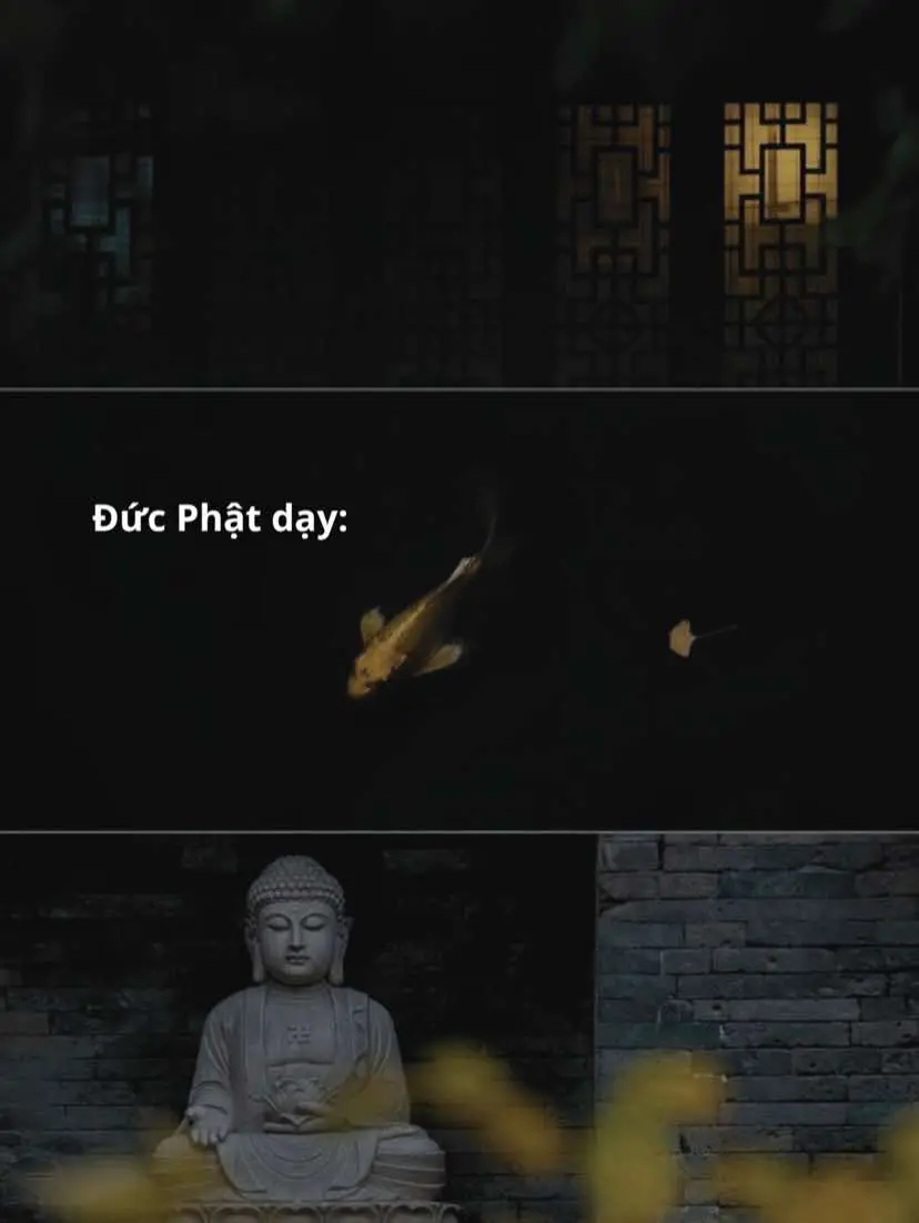 Đau không nói, khổ không than giận đến mấy cũng không thể hiện ra mặt. #manhan_22 #phatphapnhiemmau #thienlanh 