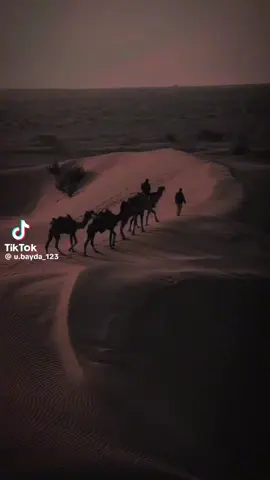 اللهم اجعلنا في جوارهم في الجنه يارب #