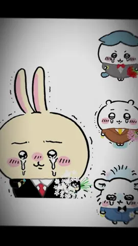 anh vui den noi nghen ngao#chikawa #usagi #hachiware #momonga #xh #usagibel 