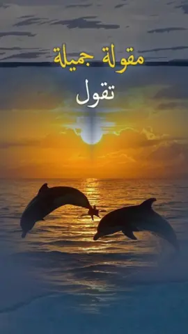 مقولة جميلة تقول #حكمة_اليوم #اقتباسات #حكمة #خواطر #اكسبلور #نجاح #علم_النفس #تطويرات #حكمة_اليوم #اللهم_صلي_على_نبينا_محمد #اكسبلورexplore_ #tiktoklive #livehighlights 