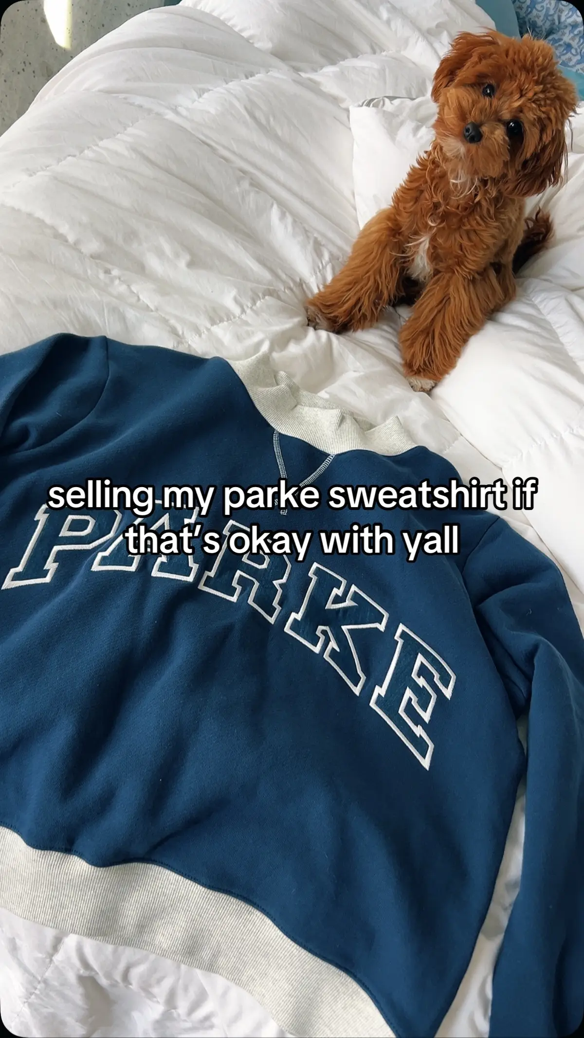 selling brand new parke sweatshirt, never worn/washed!! size s/m heritage denim two tone varsity mockneck😄 #parke 