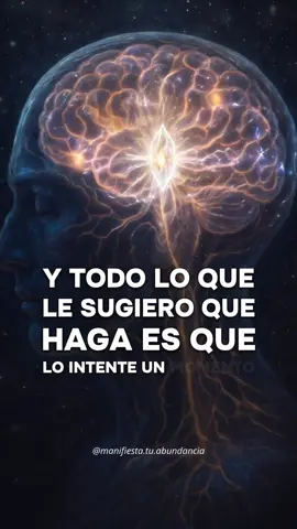 Científicamente comprobado, me agradecen luego💫 #leydeatraccion #decreto #afirmaciones #frasesdiarias #Abundancia #PeticionAlUniverso #CrealoYRecibelo 