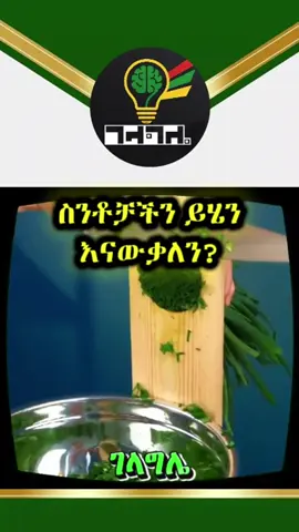 #ገላግሌ #gelagle #LifeHack #fyp #viralvideos #creatorsearchinsights 