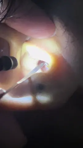 @វ៉ាន់ឌី សាឡន 🥰📱081674455 