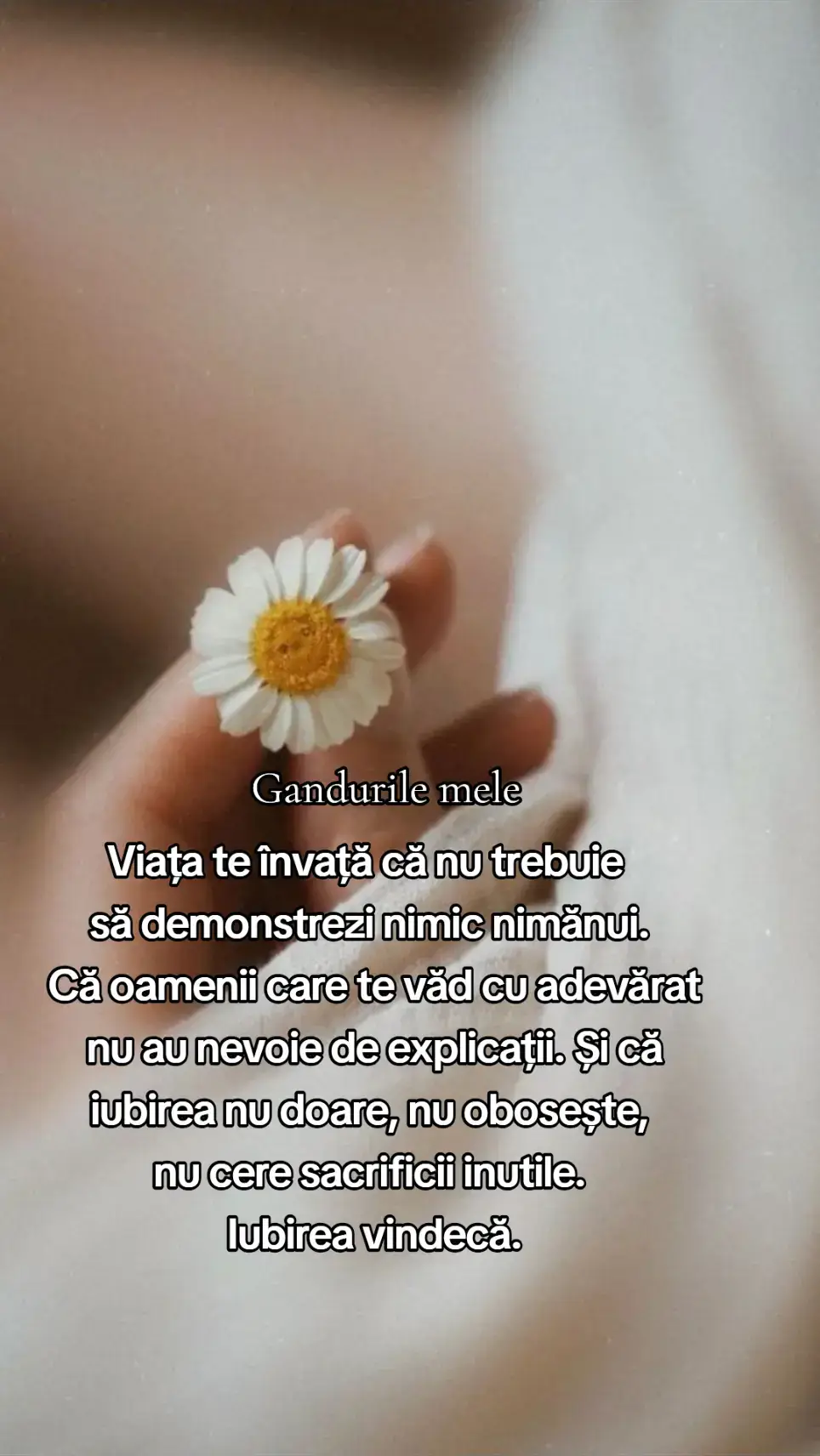 #gandurilemele 