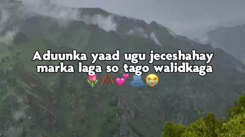 love sarrr💕🫶🏼 ....